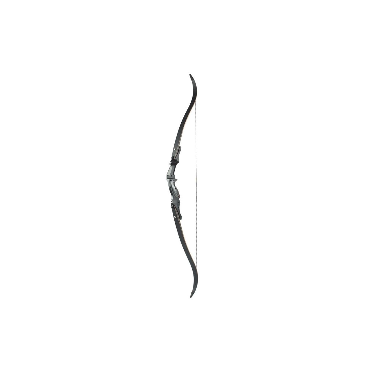 F261 (1)